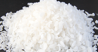  填充母料是有那幾部分組成的？